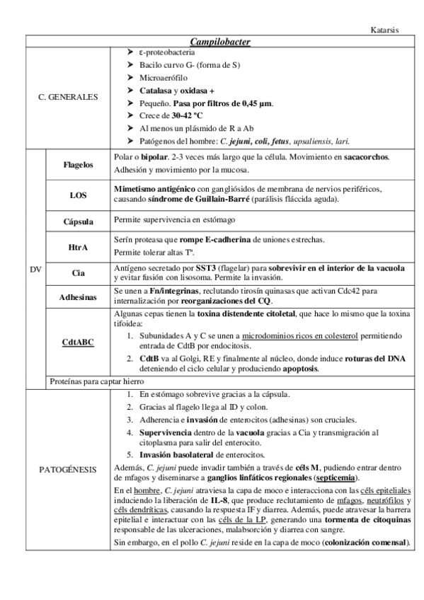 Miniatura del documento Campilobacter.pdf