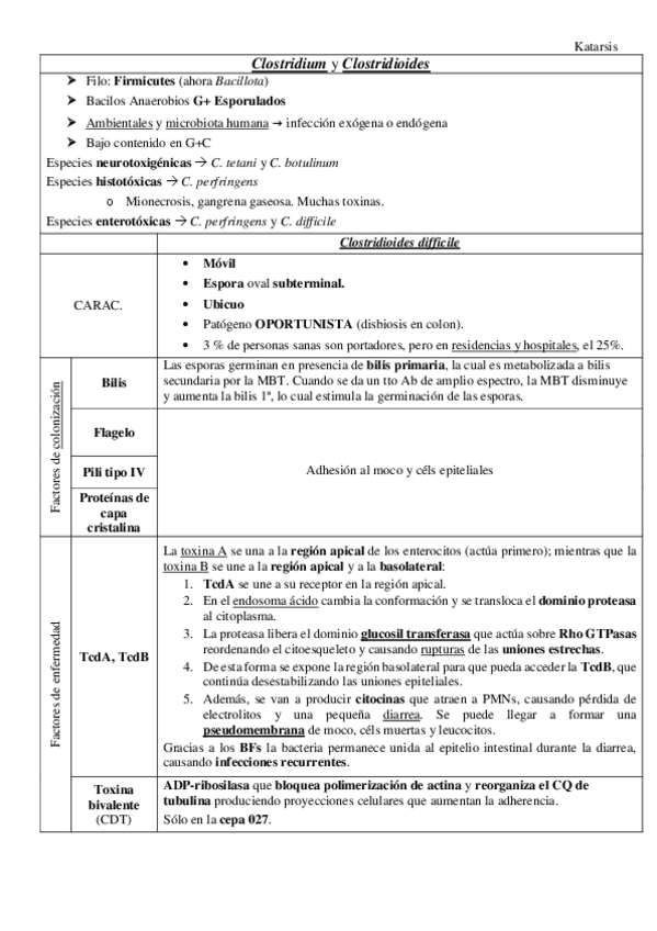 Miniatura del documento Clostridium.pdf