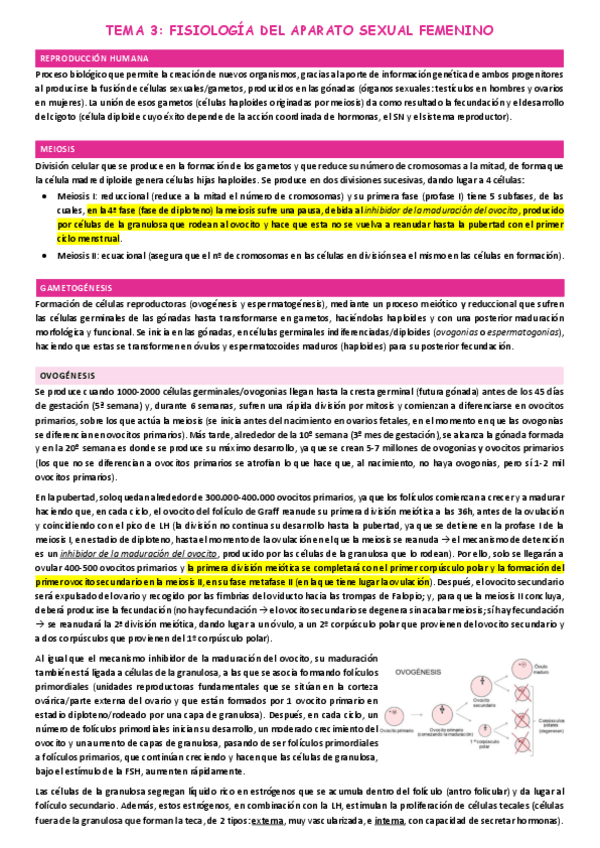 Miniatura del documento TEMA-3-FISIOLOGIA-DEL-APARATO-SEXUAL-FEMENINO.pdf