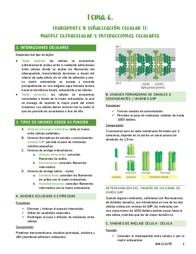 Miniatura del documento Tema-6.pdf