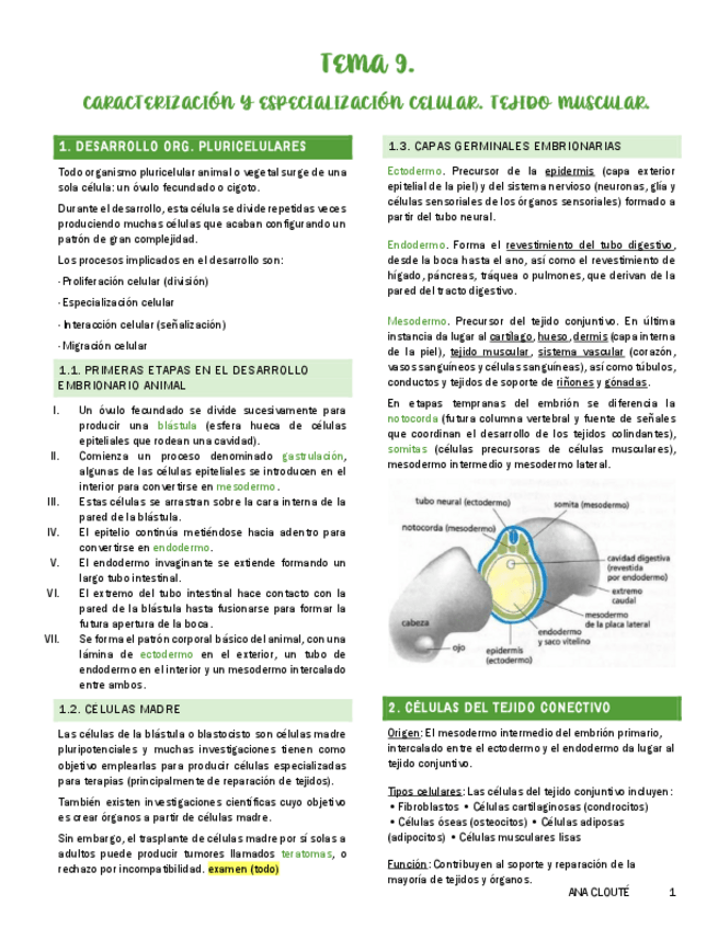 Miniatura del documento Tema-9.pdf