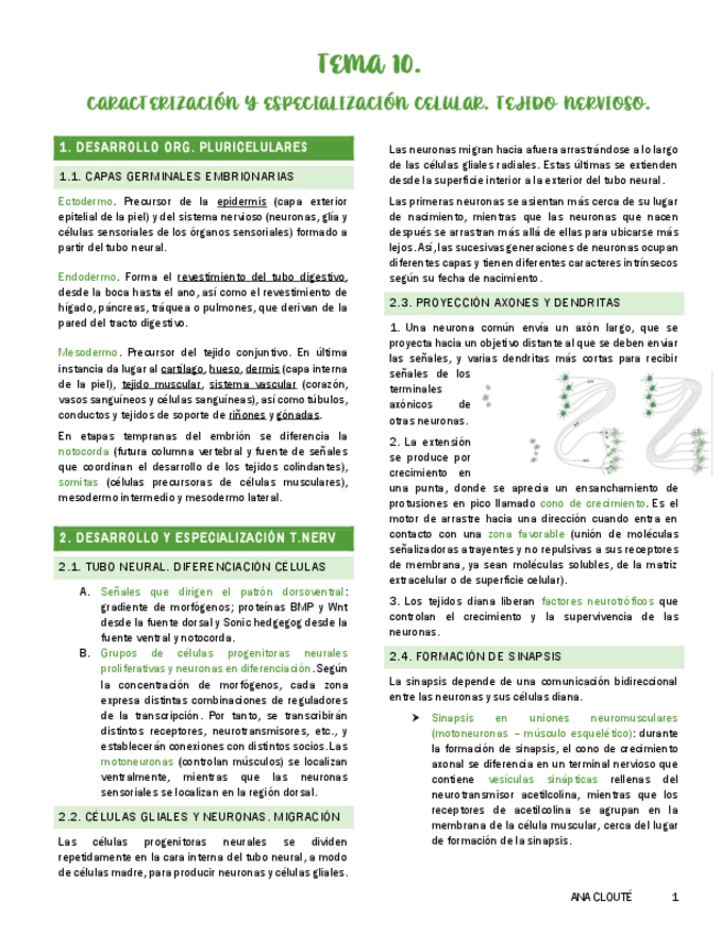 Miniatura del documento Tema-10.pdf