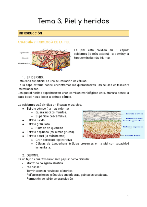 Miniatura del documento Tema-3.-Piel-y-heridas..pdf