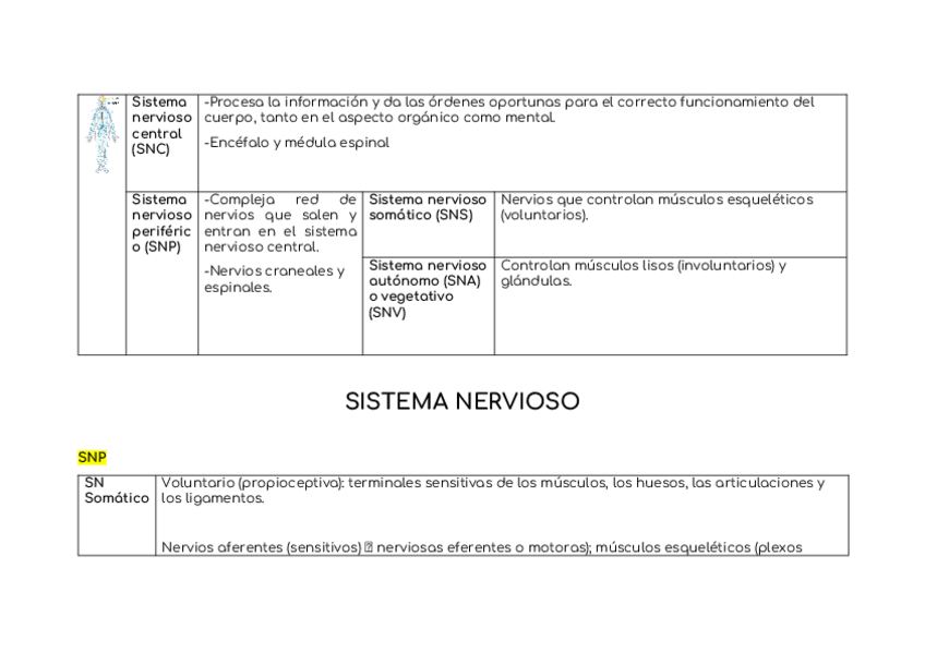 Miniatura del documento resumen-sistema-nervioso.docx