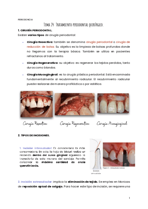 Miniatura del documento TEMA-24-PERIO.pdf