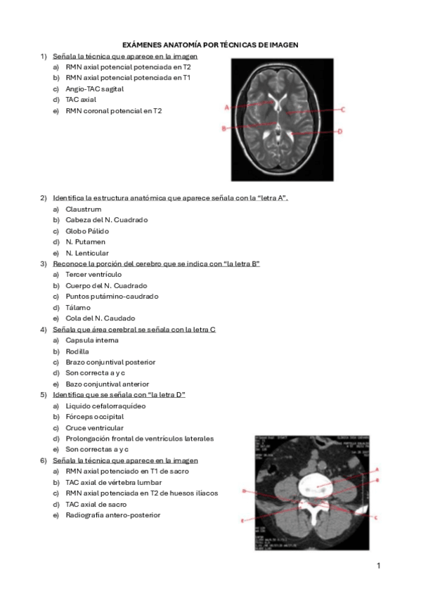 Miniatura del documento ExamenAnatomiaTI2020.pdf