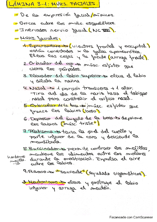 Miniatura del documento Laboratorio-musculos.pdf
