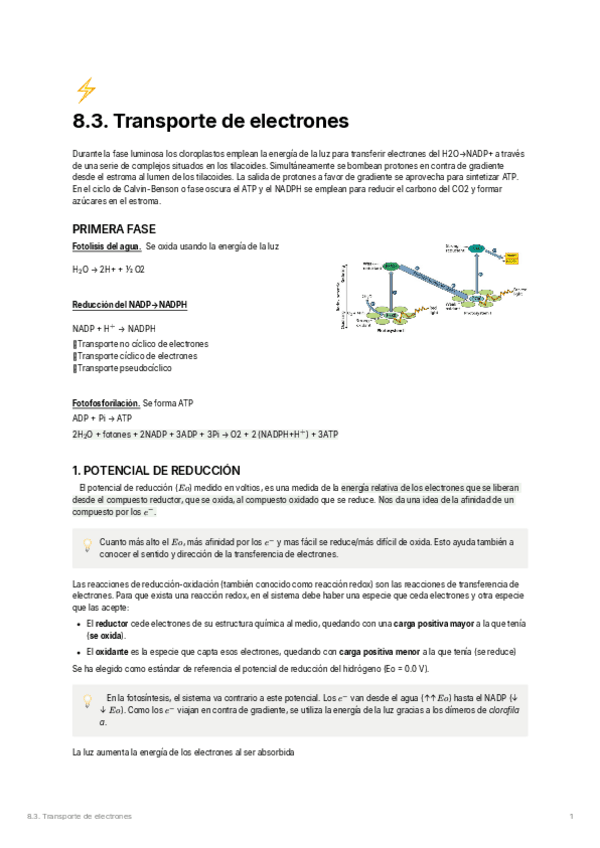 Miniatura del documento 8.3.-Transporte-de-electrones.pdf