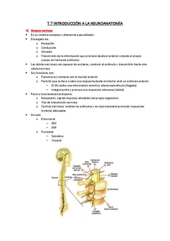 Miniatura del documento T.7-Introduccion-a-la-neuroanatomia.pdf