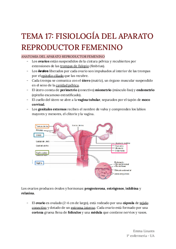 Miniatura del documento TEMA-17.pdf