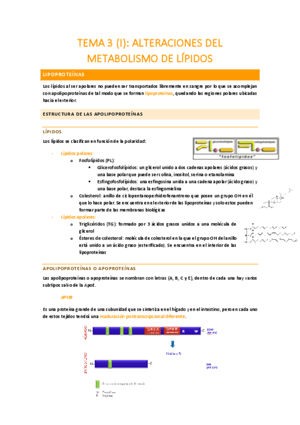 Miniatura del documento TEMA-3-I.pdf