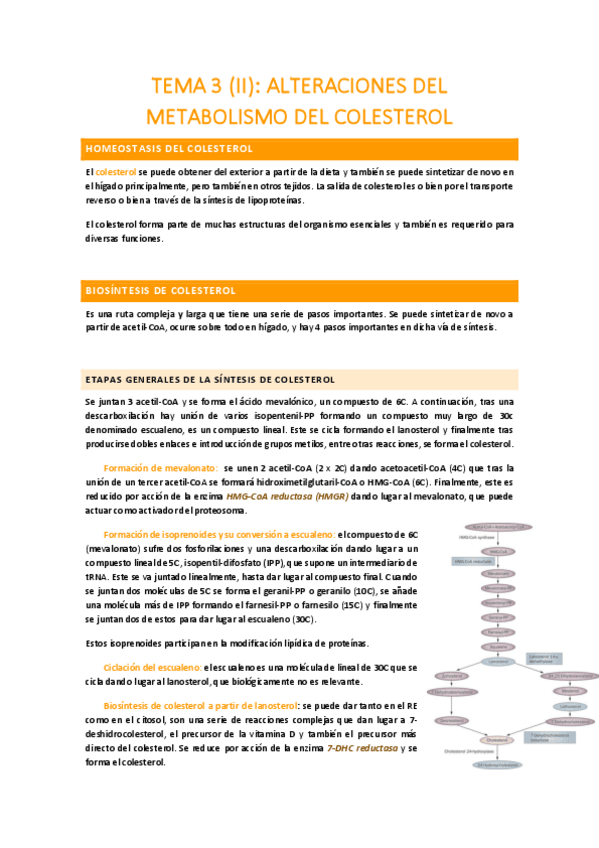 Miniatura del documento TEMA-3-II.pdf