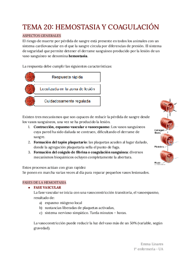 Miniatura del documento TEMA-20.pdf
