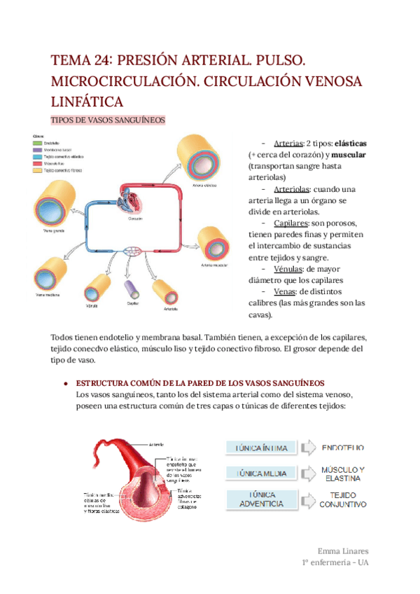 Miniatura del documento TEMA-24.pdf