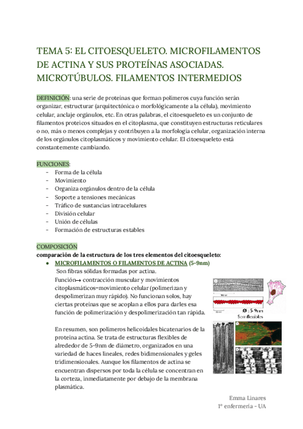 Miniatura del documento TEMA-5.pdf
