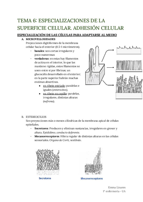 Miniatura del documento TEMA-6.pdf