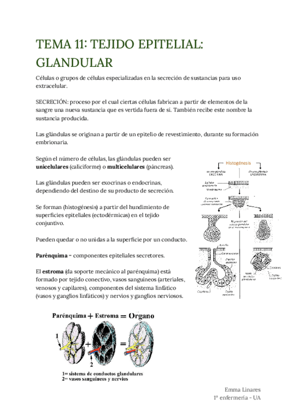 Miniatura del documento TEMA-11.pdf