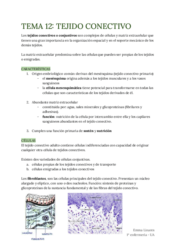 Miniatura del documento TEMA-12.pdf