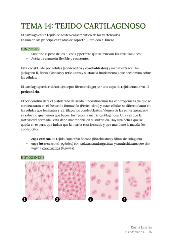 Miniatura del documento TEMA-14.pdf