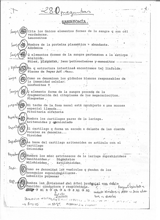 Miniatura del documento escanear0007.jpg