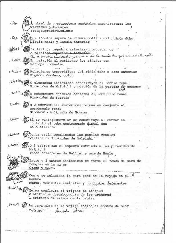 Miniatura del documento escanear0008.jpg