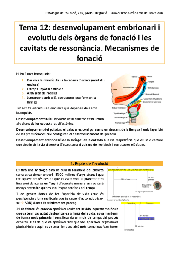 Miniatura del documento pato-tema-12.pdf