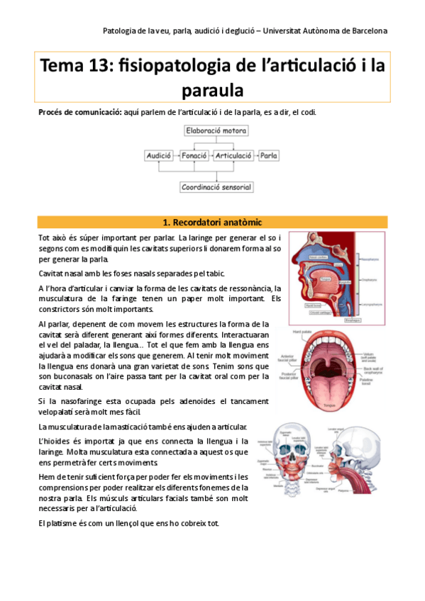 Miniatura del documento pato-tema-13.pdf