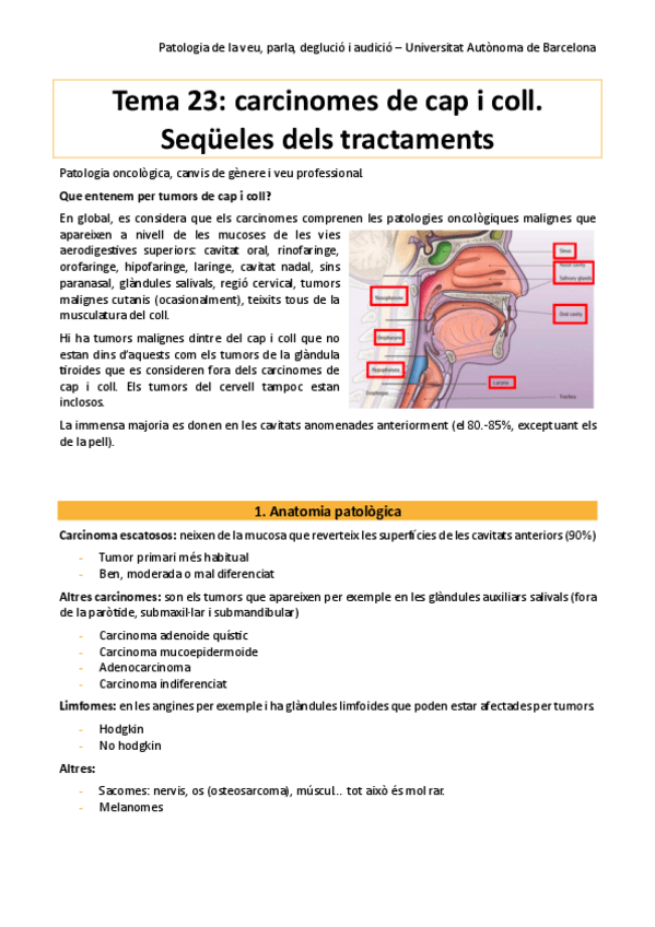 Miniatura del documento Pato-tema-23.pdf