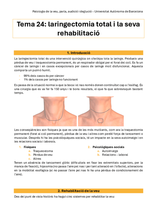 Miniatura del documento pato-tema-24.pdf