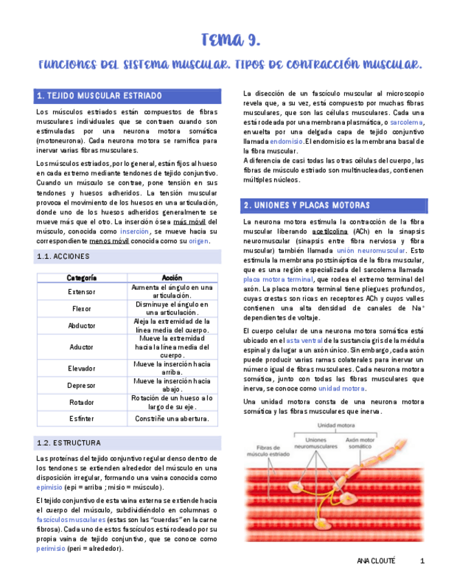 Miniatura del documento Tema-9-Anatomia.pdf