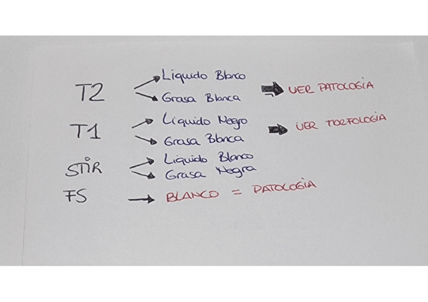 Miniatura del documento Image-to-PDF-20240905-18.02.59.pdf