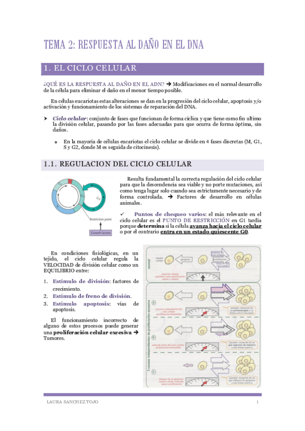 Miniatura del documento Tema-2-Respuesta-al-dano-en-el-ADN.pdf