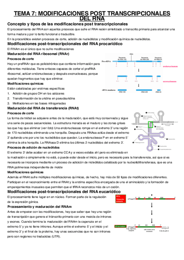 Miniatura del documento Tema-7.pdf
