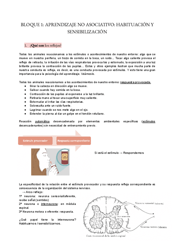 Miniatura del documento BLOQUE-1-APREND.pdf
