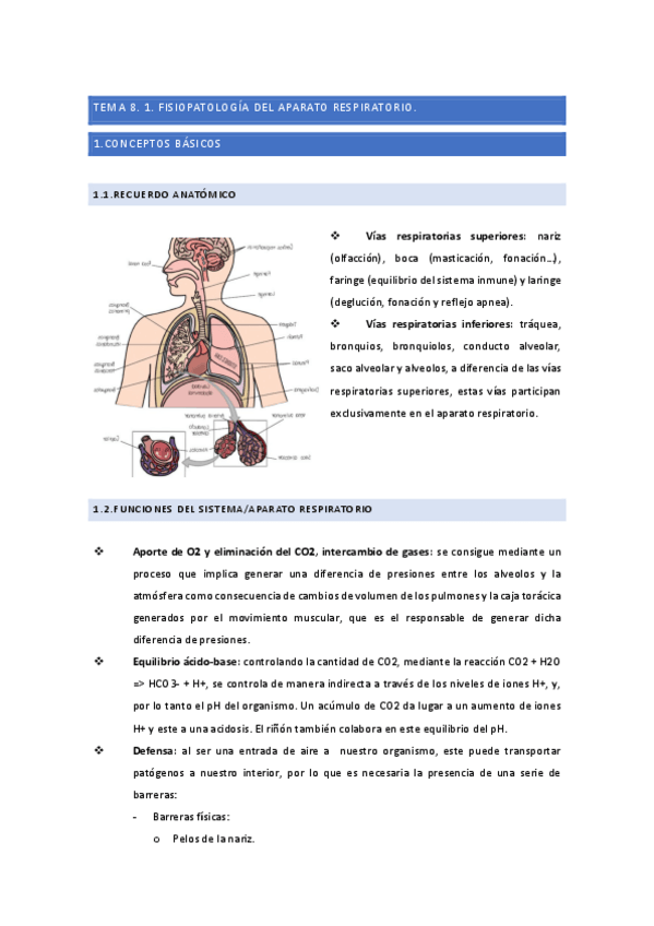 Miniatura del documento IV.-1.-BLOQUE-DE-RESPIRATORIO-APUNTES.pdf