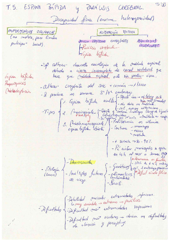 Miniatura del documento T5.pdf