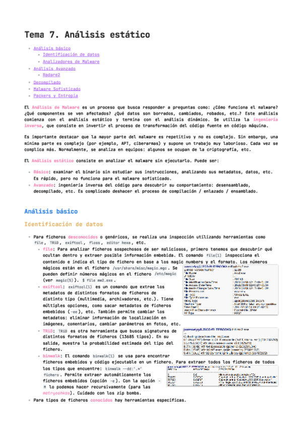Miniatura del documento Tema-7.-Analisis-estatico.pdf