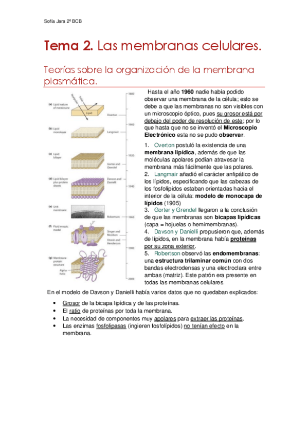 Miniatura del documento Tema-2.-Las-membranas-celulares.pdf