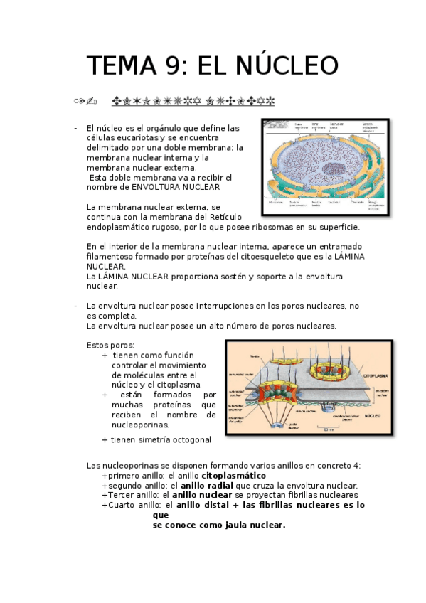 Miniatura del documento TEMA-9.EL-NUCLEO.docx