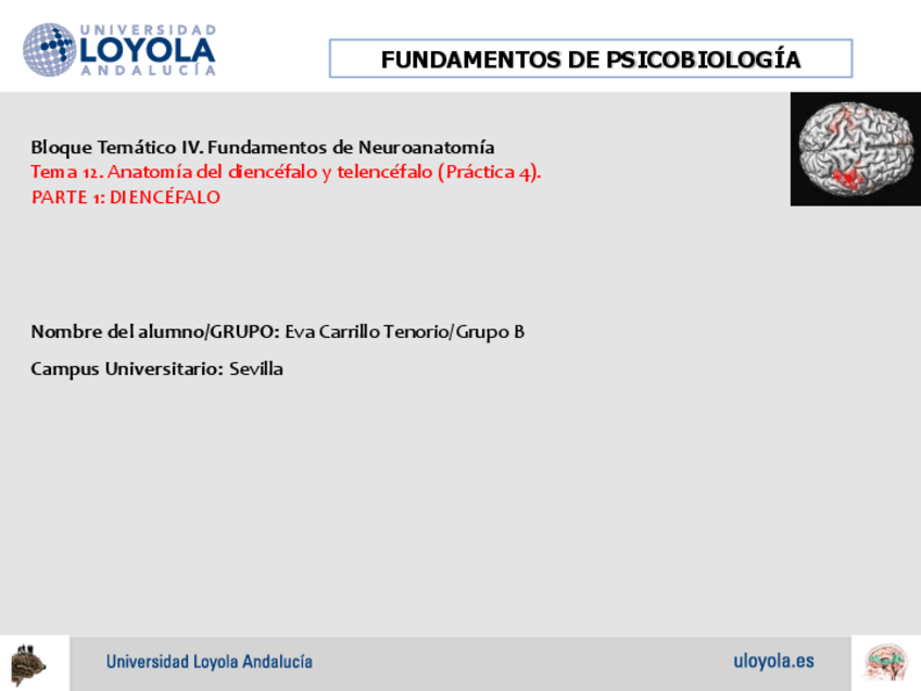 Miniatura del documento Practica-4-completa.pdf