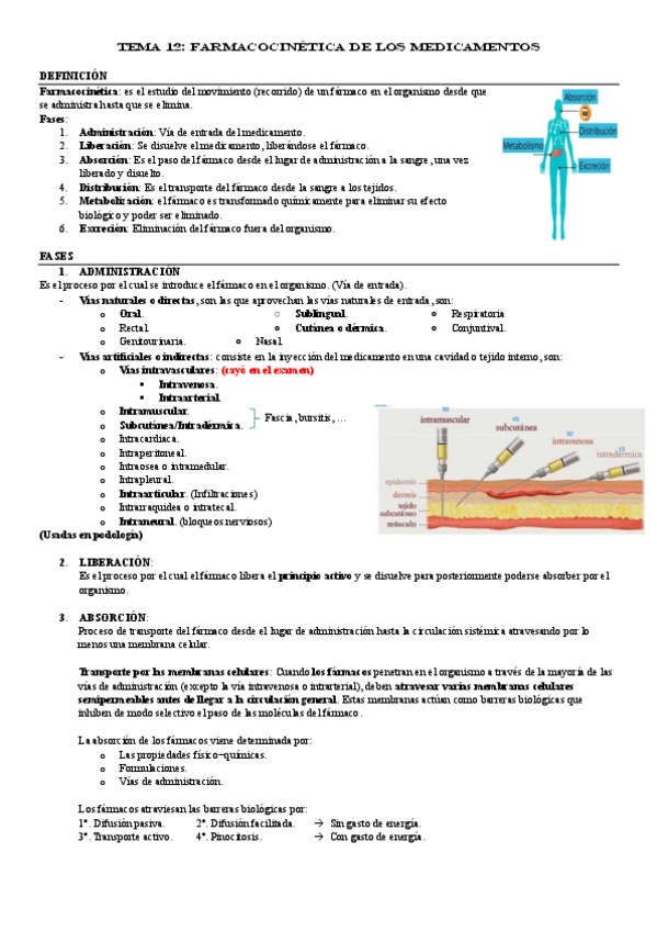 Miniatura del documento TEMA-12.pdf