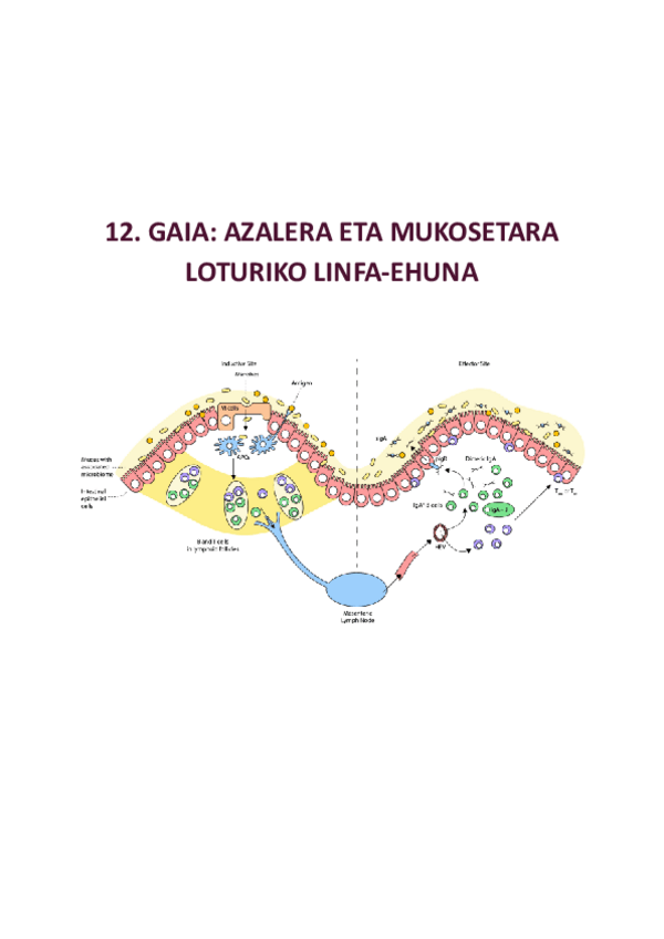 Miniatura del documento 12.-GAIA.pdf