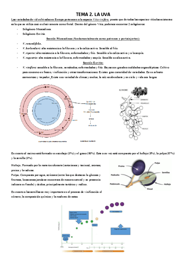 Miniatura del documento LA-UVA.pdf