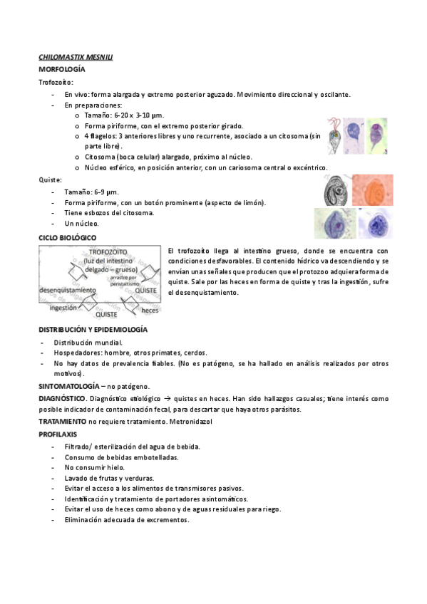 Miniatura del documento TEMA-8.pdf