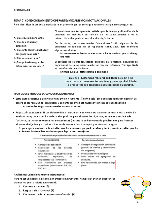 Miniatura del documento TEMA-7-Aprendizaje.pdf