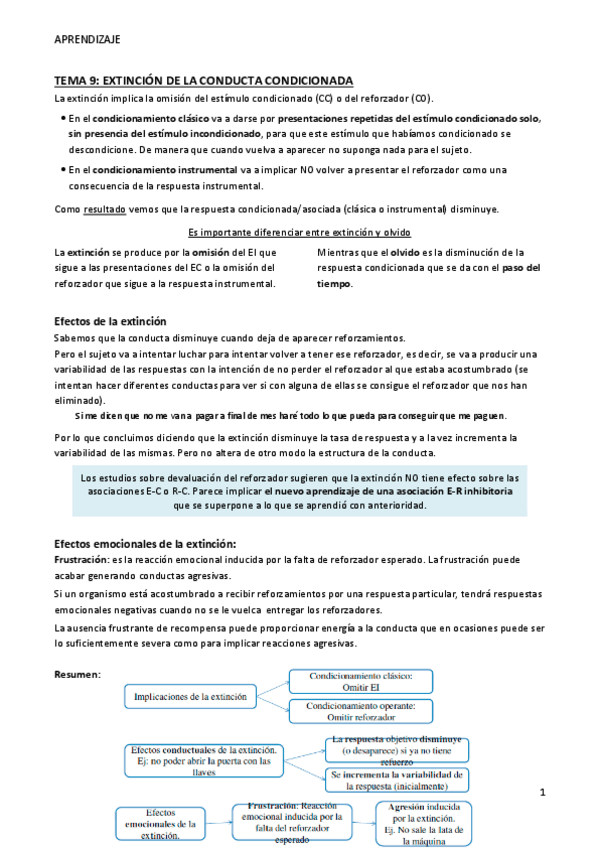 Miniatura del documento TEMA-9-Aprendizaje.pdf