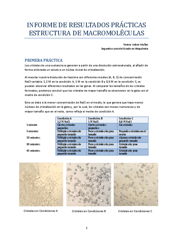 Miniatura del documento Informe-de-practicas.pdf