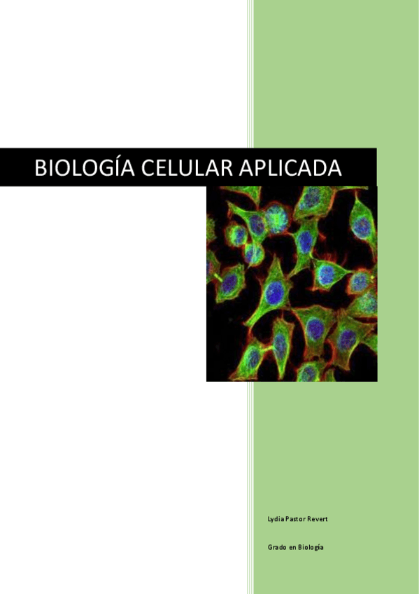 Miniatura del documento Apuntes-BCA-completos.pdf
