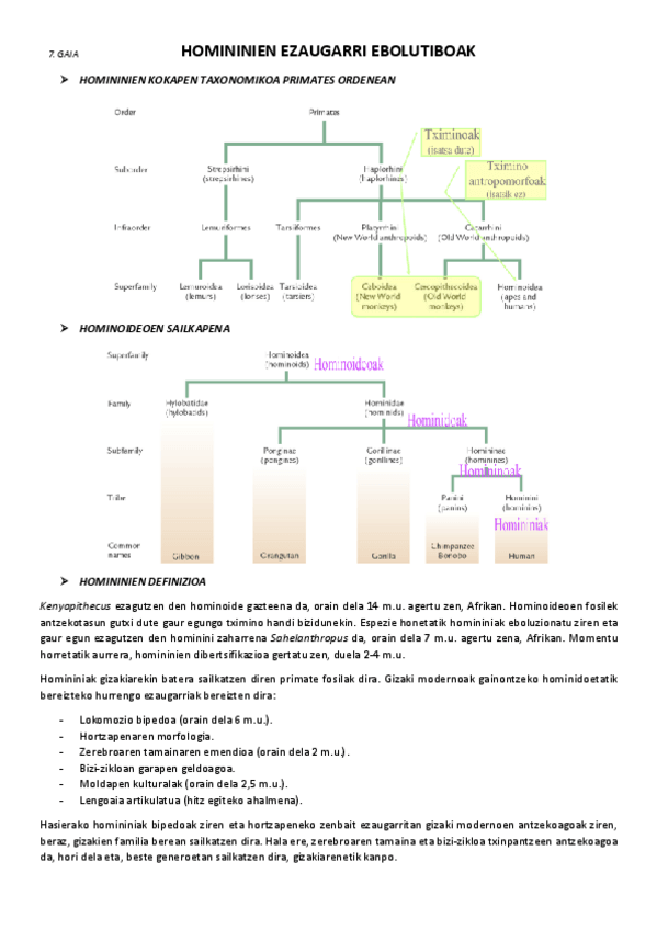 Miniatura del documento 7.-Homininien-ezaugarri-ebolutiboak.pdf
