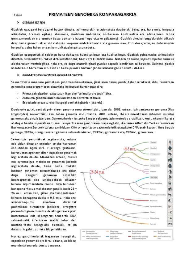 Miniatura del documento 5.-Primateen-genomika-konparagarria.pdf
